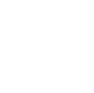 rsa-conference white
